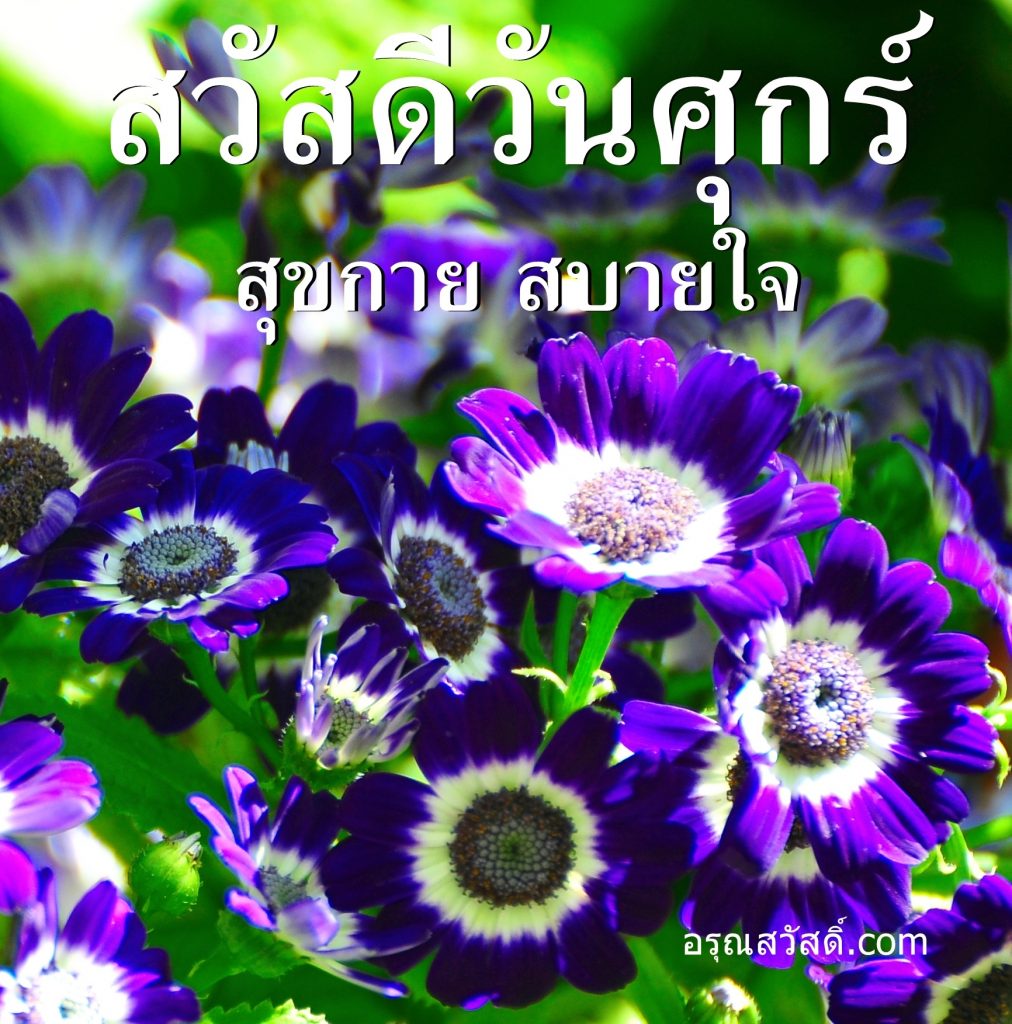 สวัสดีวันศุกร์