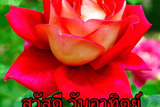 สวัสดีวันทิตย์