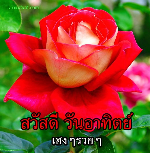 สวัสดีวันทิตย์