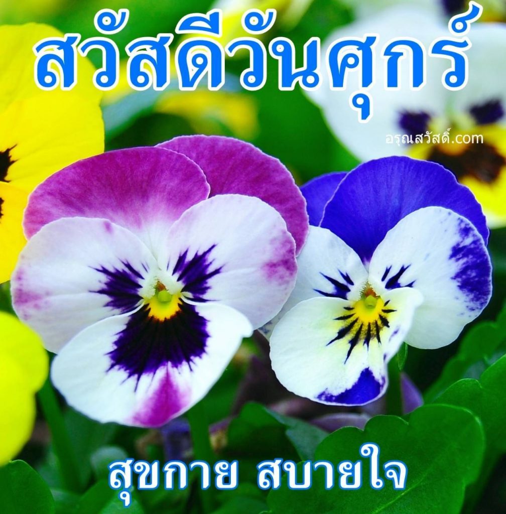 สวัสดีวันศุกร์