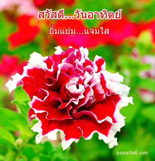 สวัสดีวันทิตย์