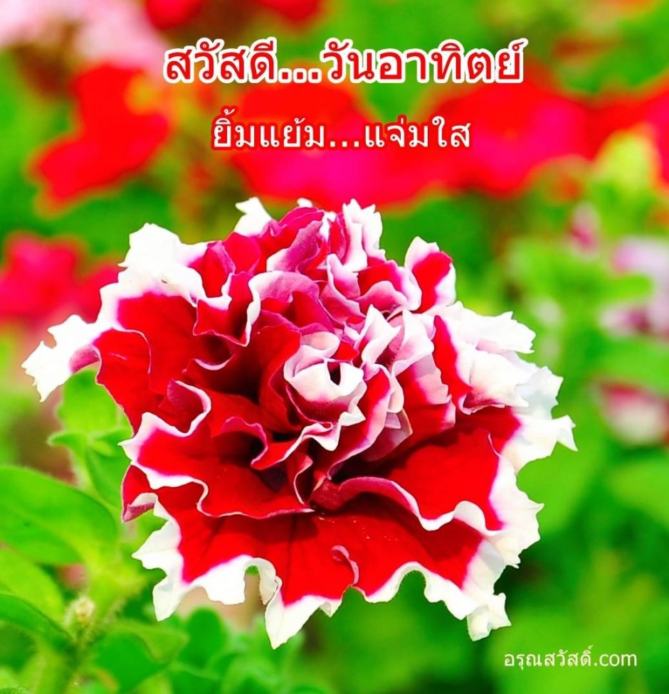สวัสดีวันทิตย์