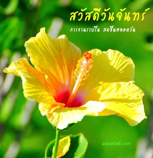 สวัสดีวันจันทร์