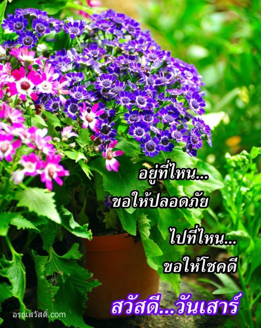 สวัสดีวันเสาร์
