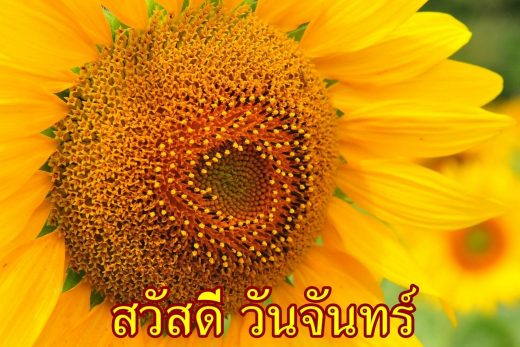 สวัสดีวันจันทร์