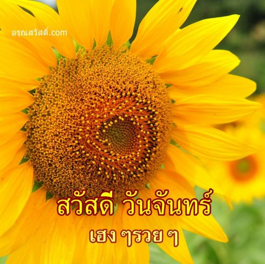สวัสดีวันจันทร์