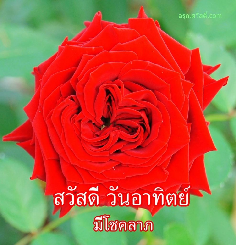 สวัสดีวันทิตย์