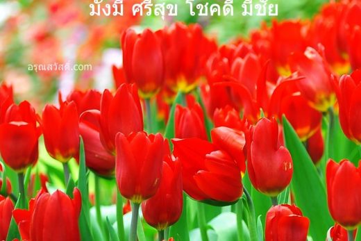 สวัสดีวันทิตย์