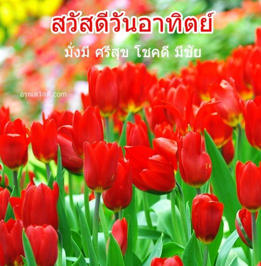 สวัสดีวันทิตย์