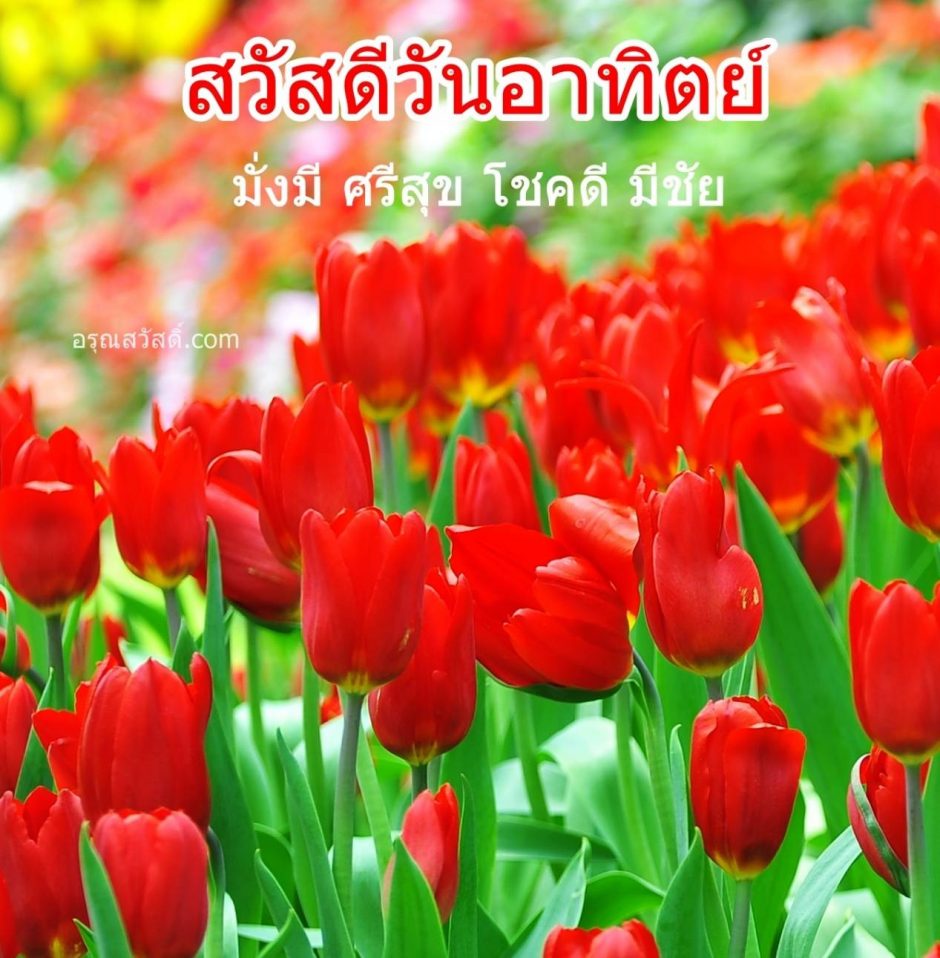 สวัสดีวันทิตย์