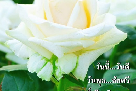 สวัสดีวันพุธ
