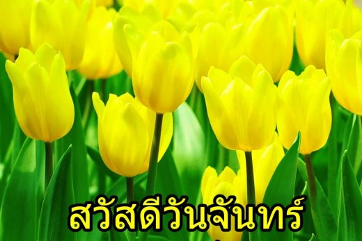 สวัสดีวันจันทร์