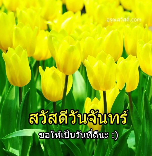 สวัสดีวันจันทร์