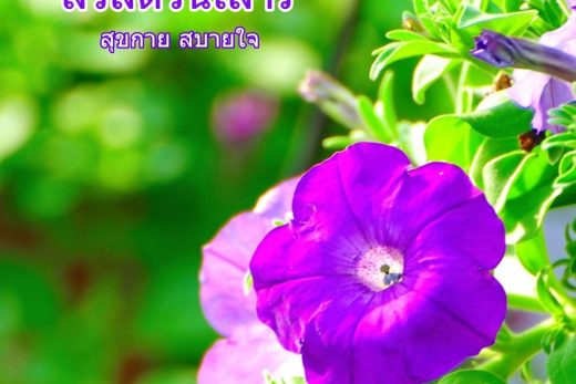 สวัสดีวันเสาร์