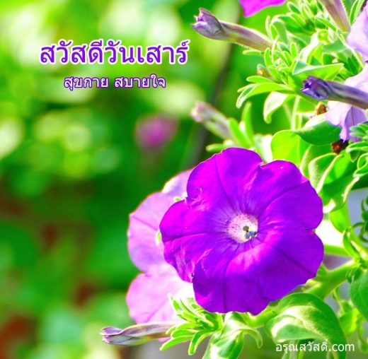 สวัสดีวันเสาร์