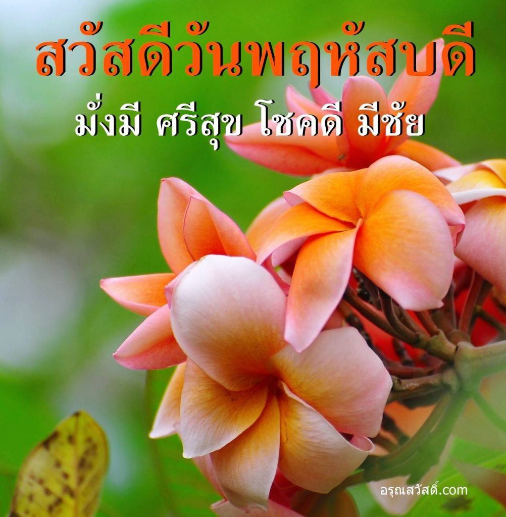 สวัสดีวันพฤหัสบดี