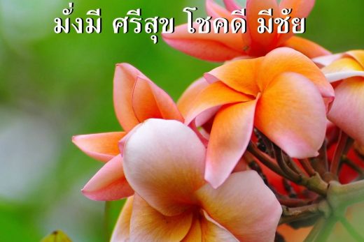 สวัสดีวันพฤหัสบดี