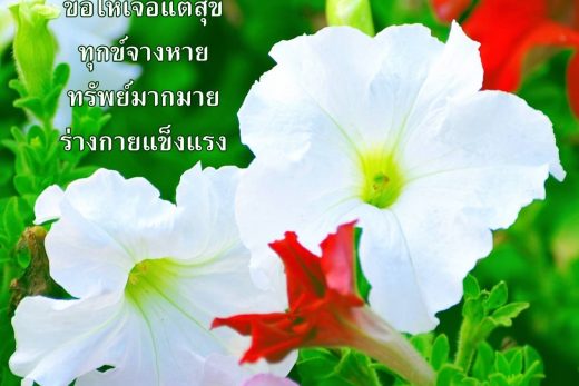 สวัสดีวันพุธ
