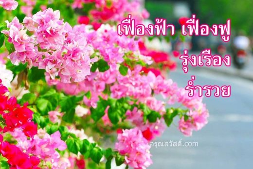 สวัสดีวันอังคาร