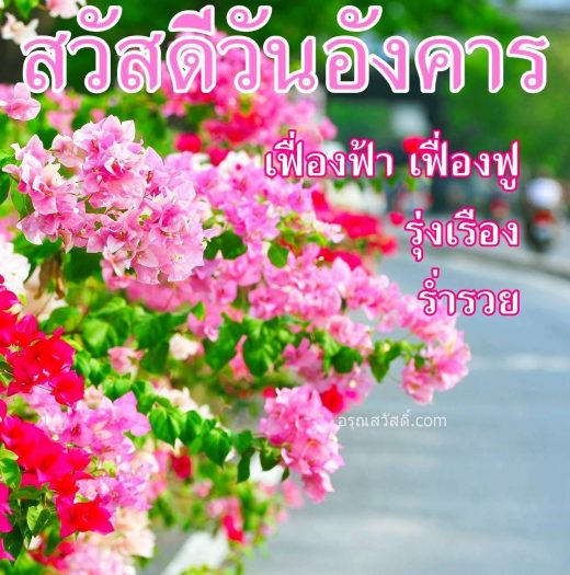 สวัสดีวันอังคาร