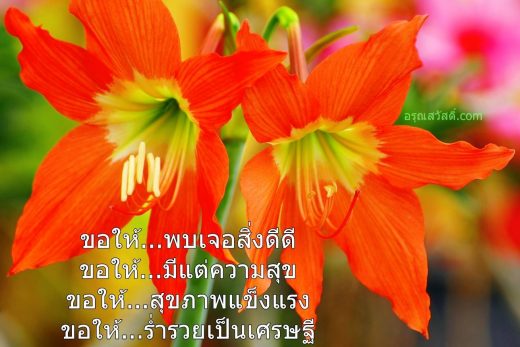 สวัสดีวันพฤหัสบดี
