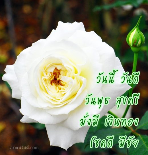 สวัสดีวันพุธ