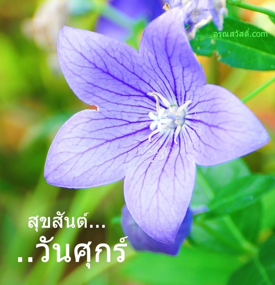 สวัสดีวันศุกร์