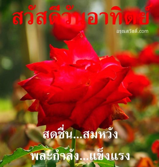 สวัสดีวันทิตย์