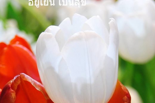 สวัสดีวันพุธ