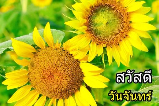 สวัสดีวันจันทร์