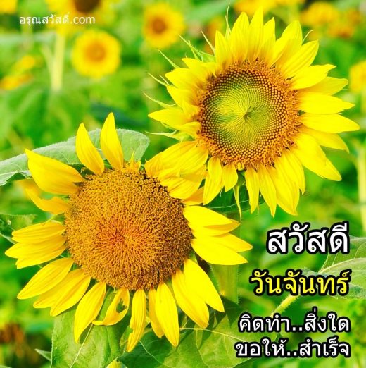 สวัสดีวันจันทร์