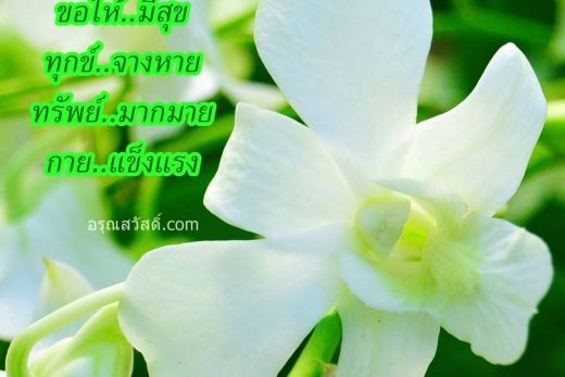 สวัสดีวันพุธ