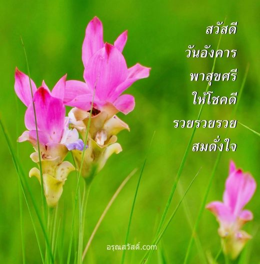สวัสดีวันอังคาร