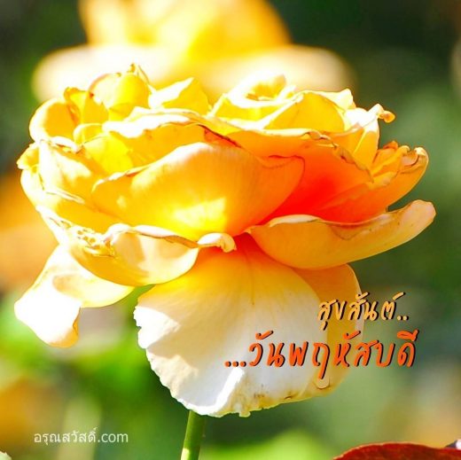 สวัสดีวันพฤหัสบดี