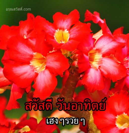 สวัสดีวันทิตย์