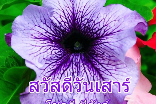 สวัสดีวันเสาร์
