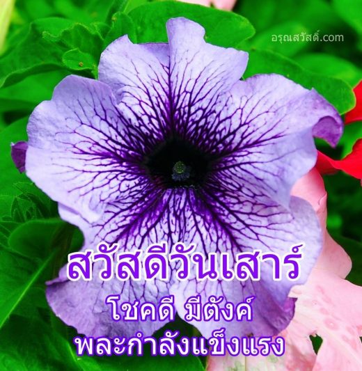 สวัสดีวันเสาร์
