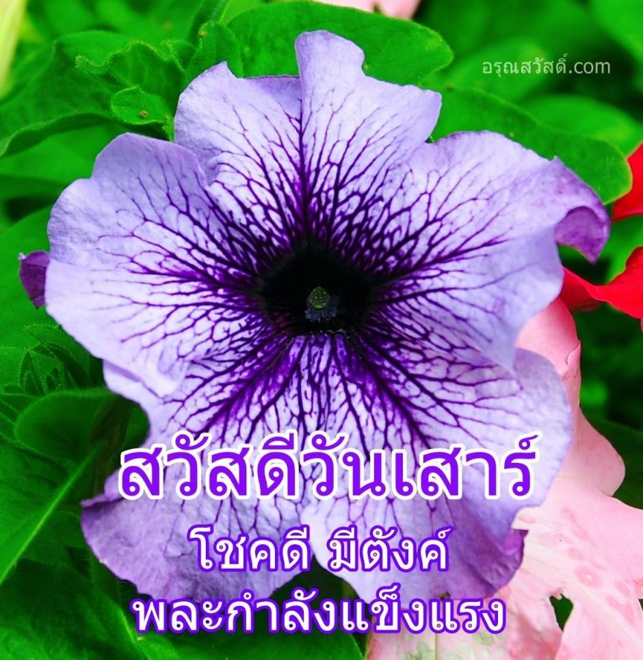 สวัสดีวันเสาร์