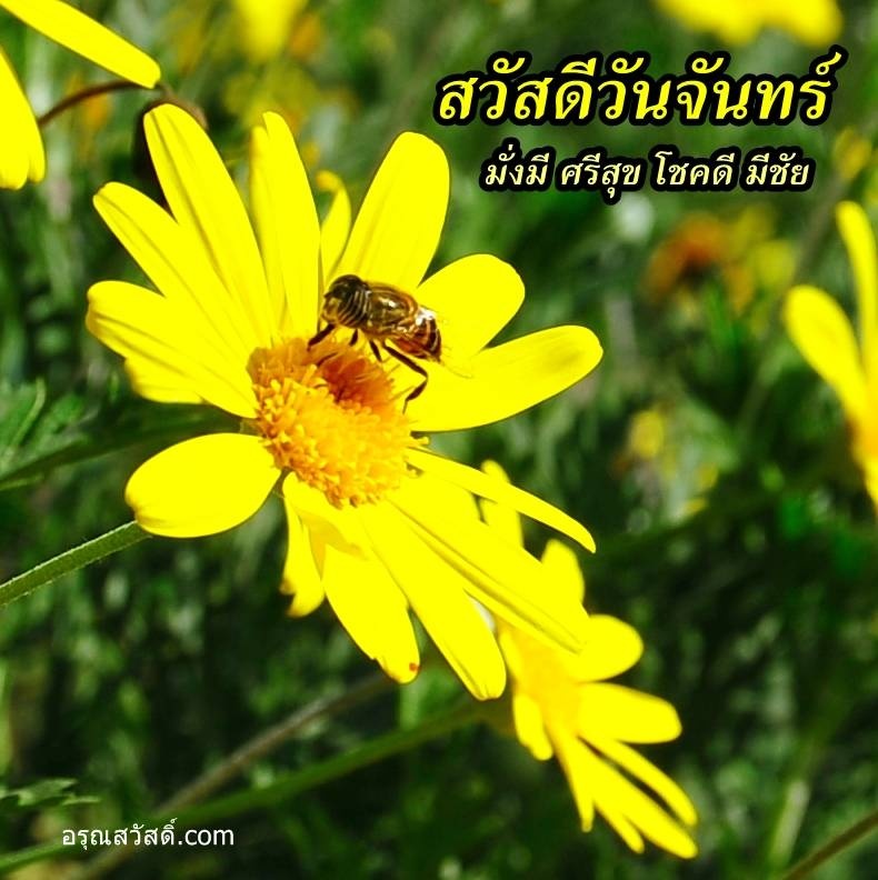 สวัสดีวันจันทร์