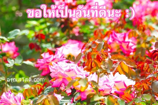 สวัสดีวันอังคาร