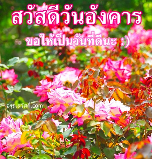 สวัสดีวันอังคาร