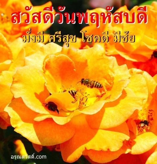 สวัสดีวันพฤหัสบดี