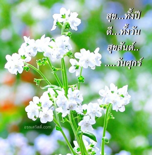 สวัสดีวันศุกร์