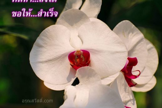 สวัสดีวันเสาร์