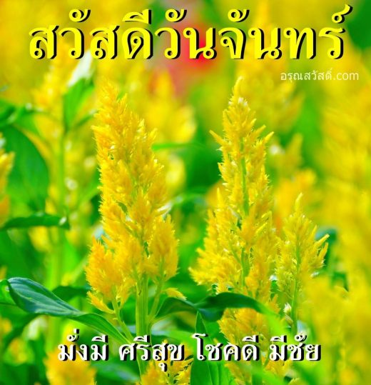 สวัสดีวันจันทร์
