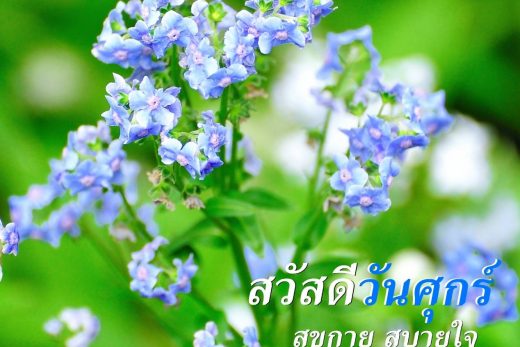 สวัสดีวันศุกร์