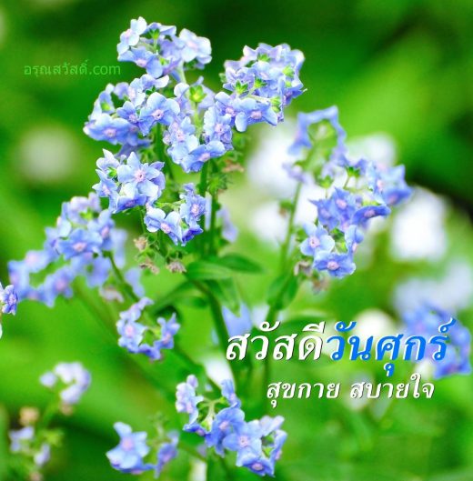 สวัสดีวันศุกร์