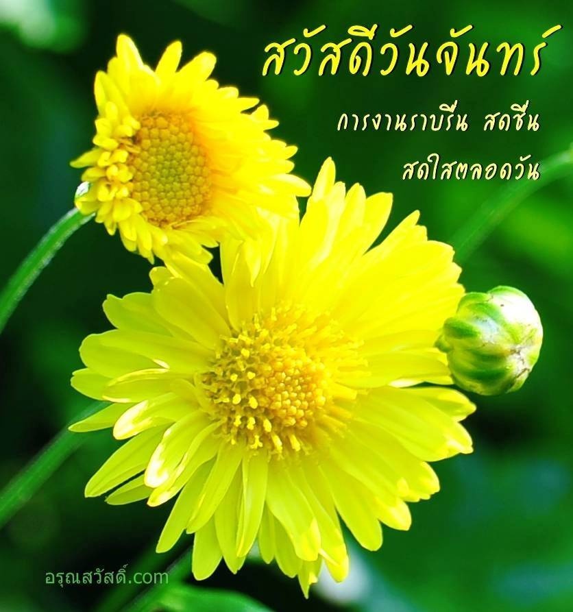 สวัสดีวันจันทร์