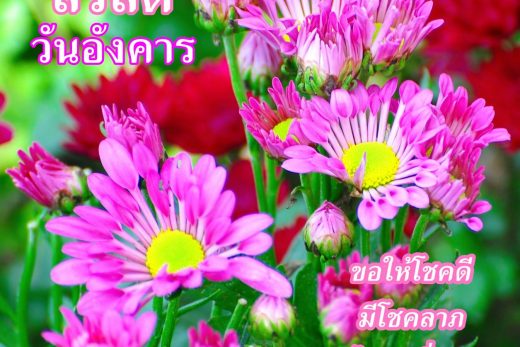 สวัสดีวันอังคาร