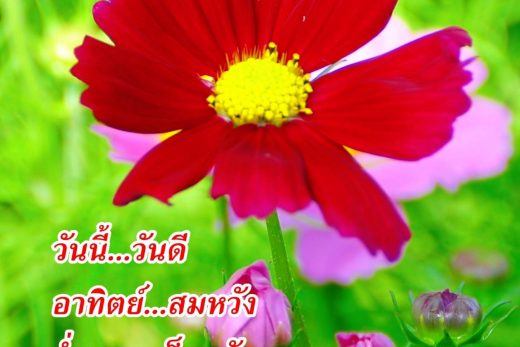 สวัสดีวันทิตย์